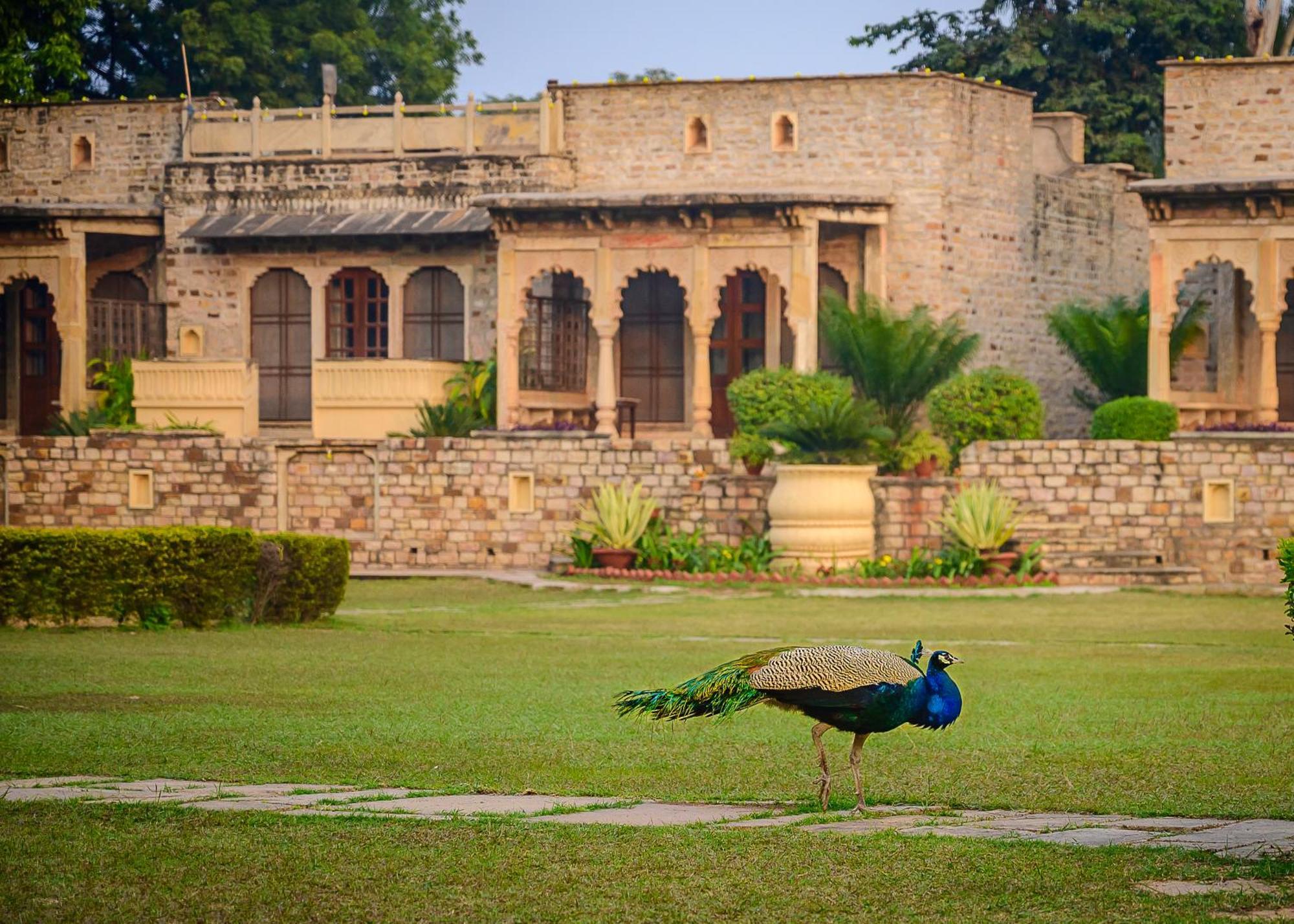 Hotel Neemrana'S - Deo Bagh Gwalijar Zewnętrze zdjęcie